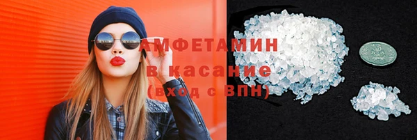 стафф Вязьма