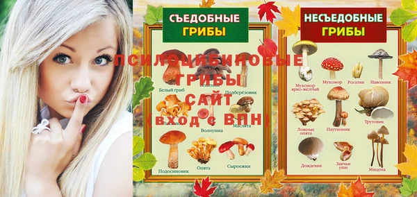 стафф Вязьма