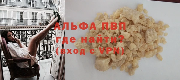 стафф Вязьма