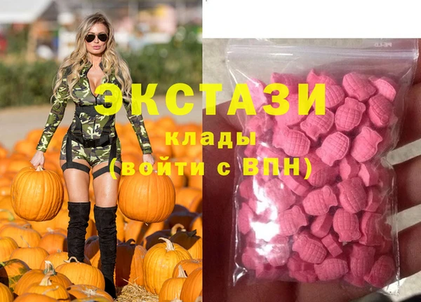 стафф Вязьма