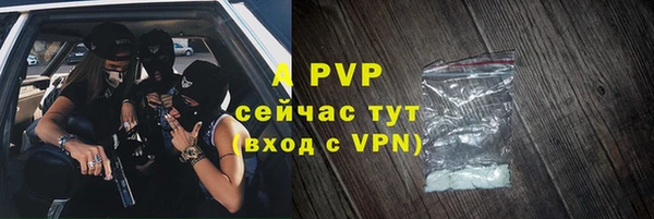 стафф Вязьма